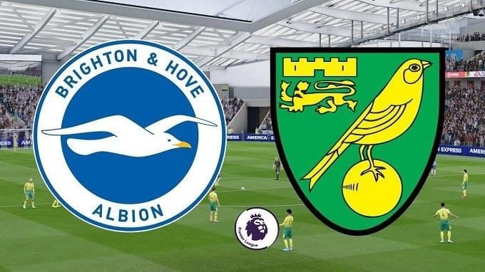 Soi kèo Brighton & Hove Albion vs Norwich City, 2/11/2019 – Ngoại Hạng Anh