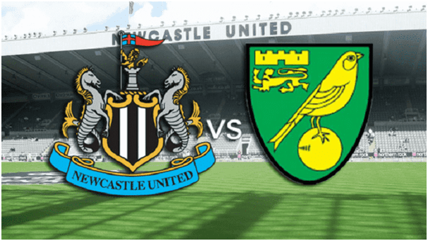 Soi kèo Newcastle United vs Norwich City, 01/02/2020 – Ngoại Hạng Anh