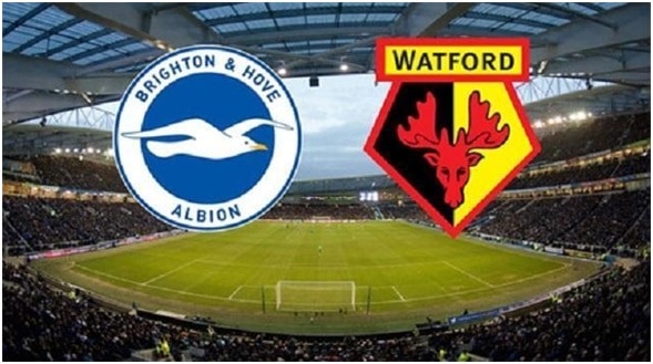 Soi kèo Brighton & Hove Albion vs Watford, 09/02/2020 – VĐQG Ngoại Hạng Anh