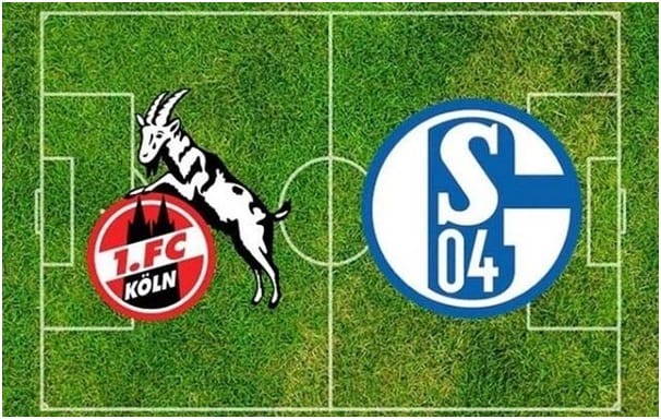 Soi kèo Cologne vs Schalke 04, 29/2/2020 – Giải VĐQG Đức