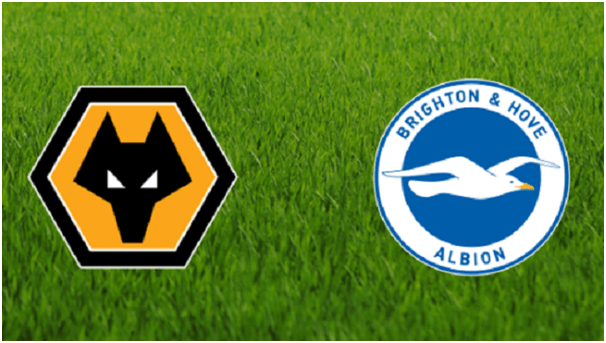 Soi kèo Wolverhampton vs Brighton & Hove, 7/3/2020 – Ngoại Hạng Anh